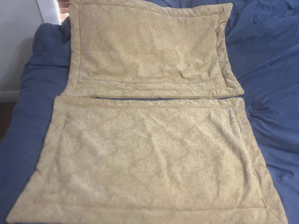 Set of 2 Beige Damask Jacquard Pillow Shams with Flanged Edges xl